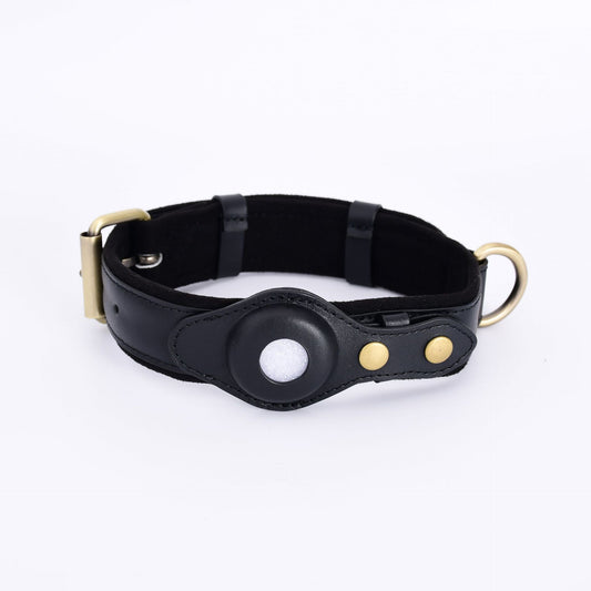 GPS pet collar with protective case