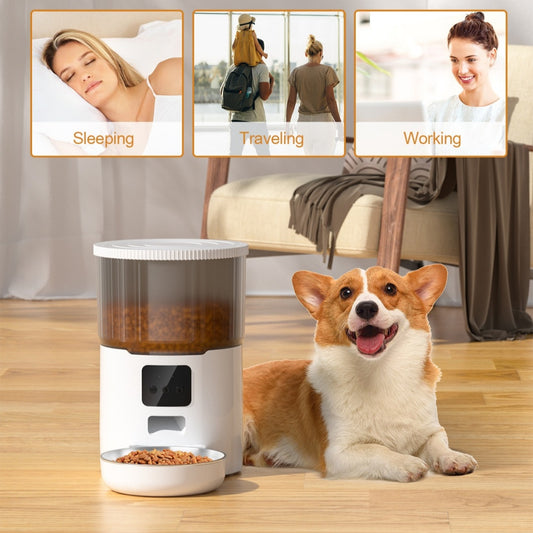 automatic pet feeder for cats and dogs
