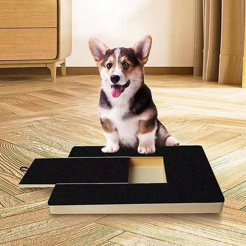 PawCare™ Scratch & Treat Board — For Dogs & Cats