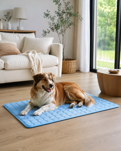 PawCare Cooling Dog Bed Summer Comfort for Pets