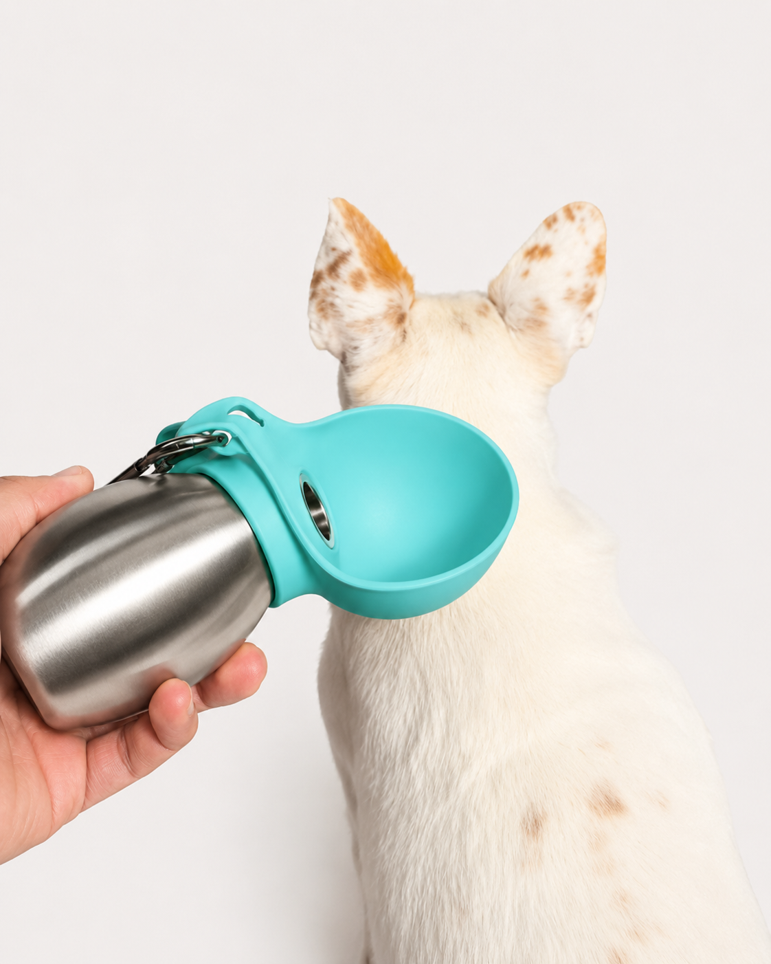 Blue PawCare™ portable dog water bottle with 285ml capacity, designed for travel and outdoor pet hydration.