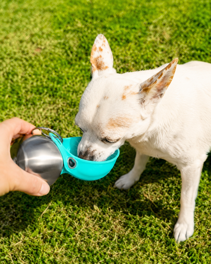 Blue PawCare™ portable dog water bottle with 285ml capacity, designed for travel and outdoor use for pets.
